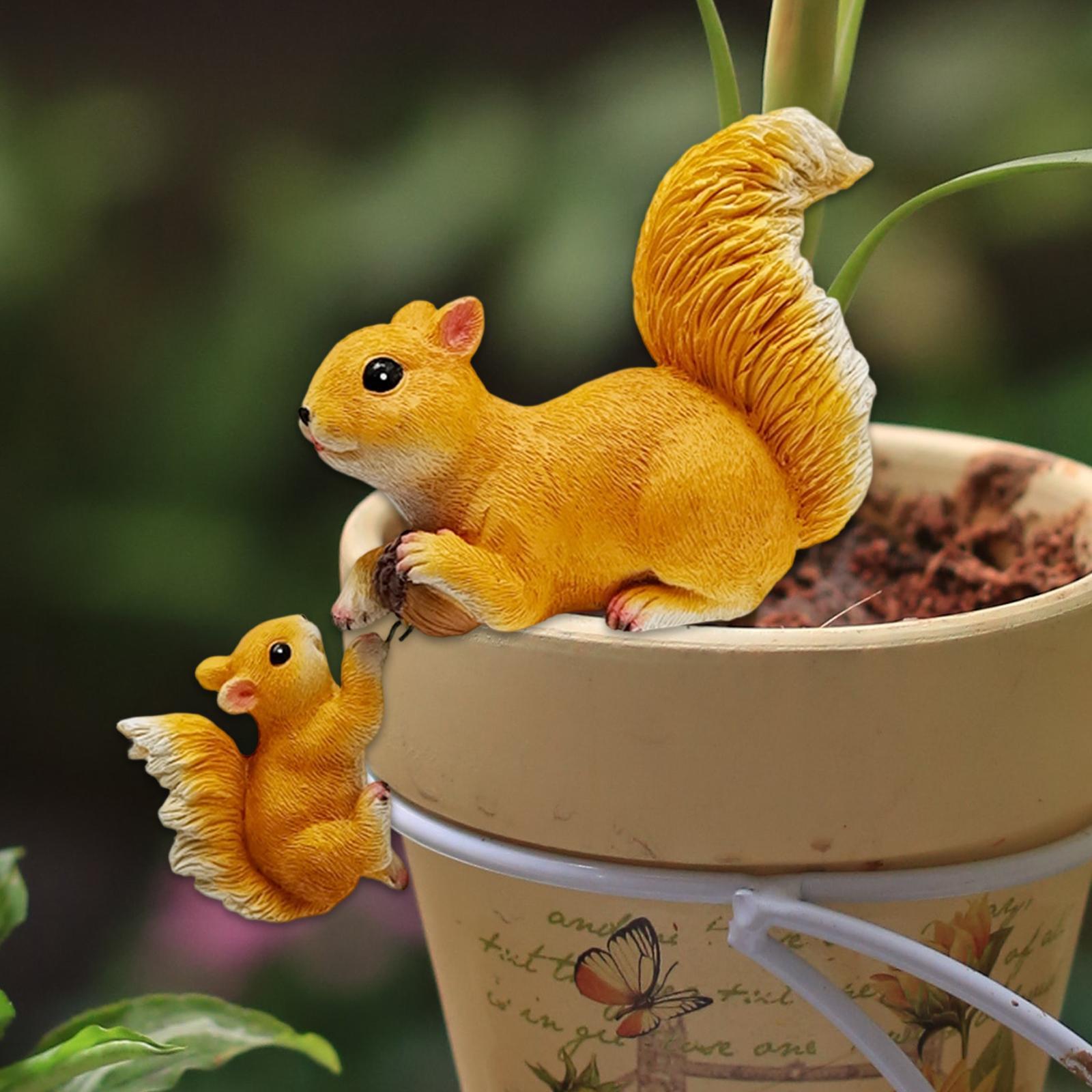 Garden Squirrel Ornament Resin - đánh giá và giá Bonsai Garden Art